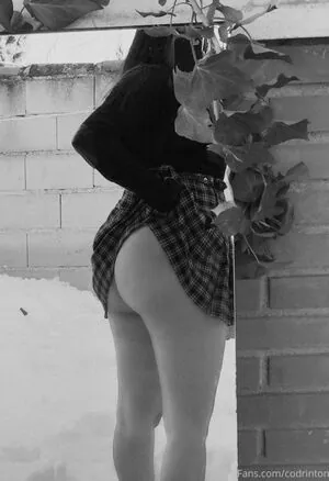 Alexa Codrington content