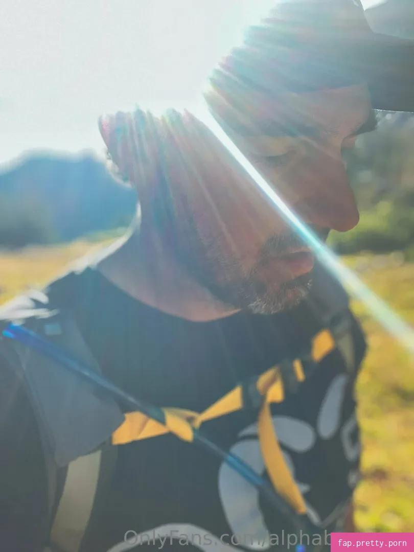 alphabearman content