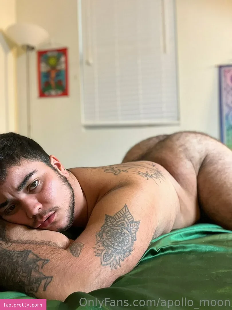 apollo_moon - Photo #36