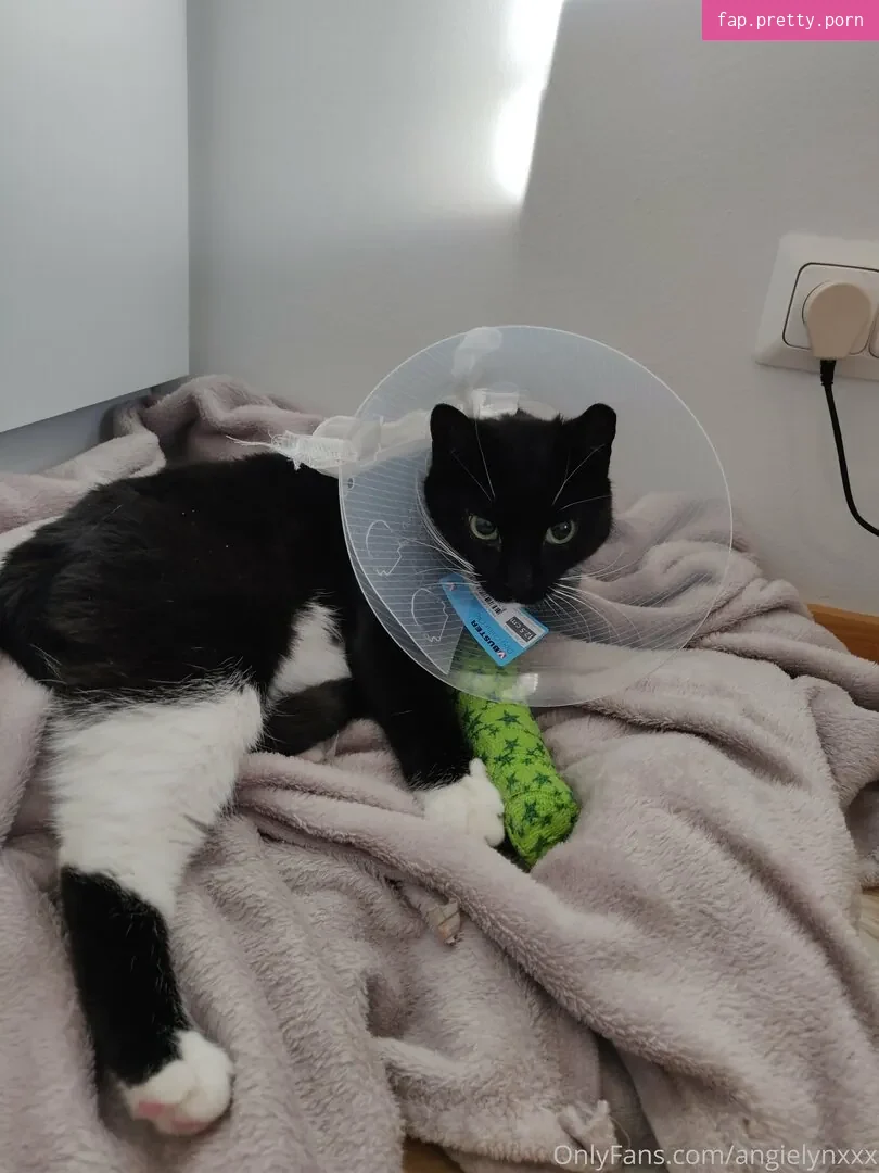 angielynxxx - Photo #10