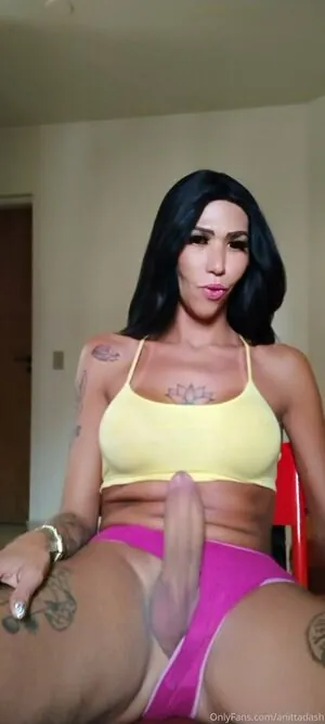 anittadash #