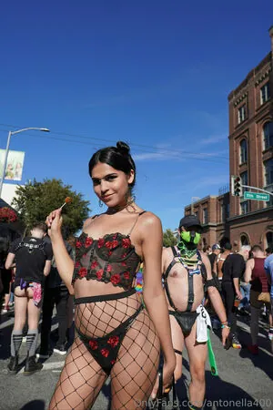 antonella400 content