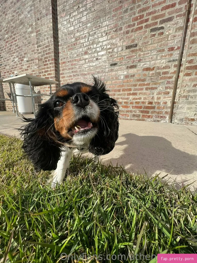 athenaskisses - Photo #37