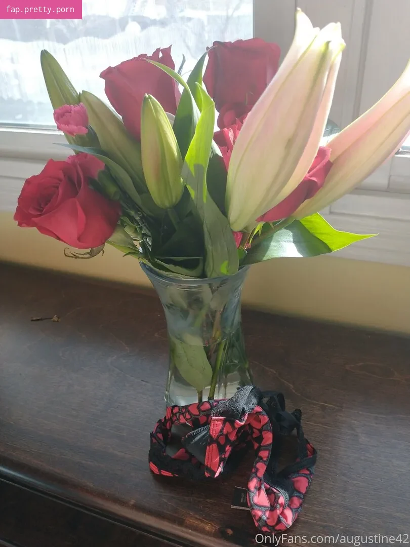 augustine42 - Photo #54