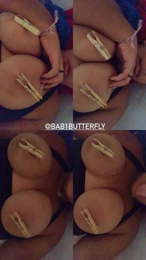 bab1butterfly