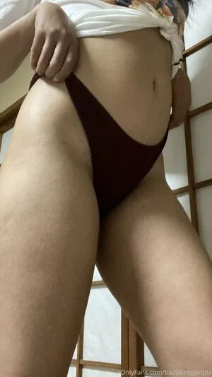 badplumgunpla content