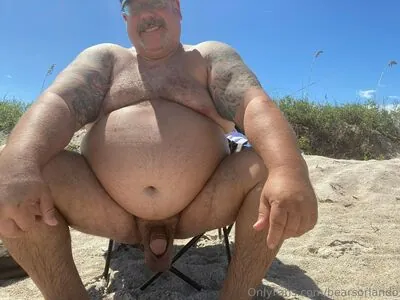 bearsorlando content