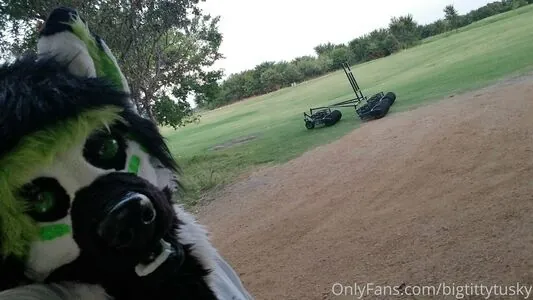 bigtittytusky content