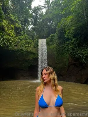 blissfulwhisperasmr content