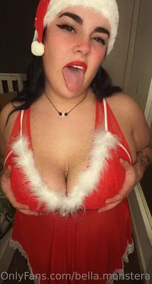 bella.monstera content