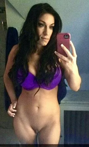 Domino Damoiselle content