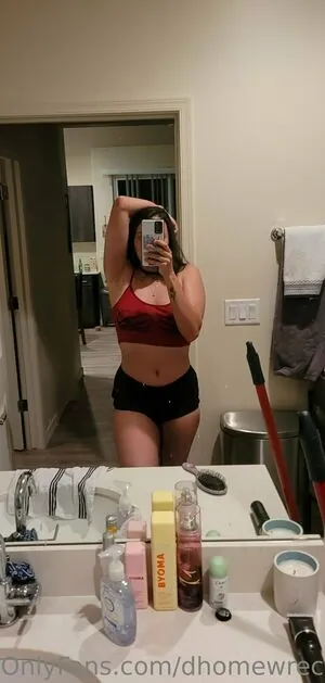 dhomewrecker content