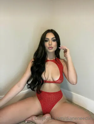 dianeneedles content