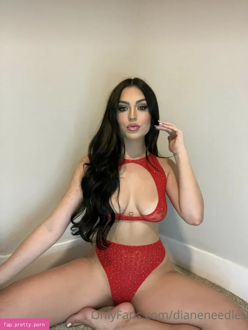 dianeneedles - Photo #13