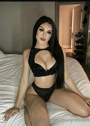 dianeneedles content