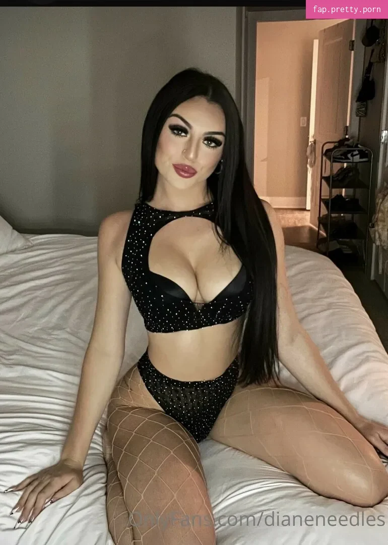 dianeneedles - Photo #55