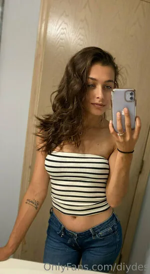 diydes content