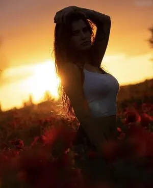 dominique_rwr content