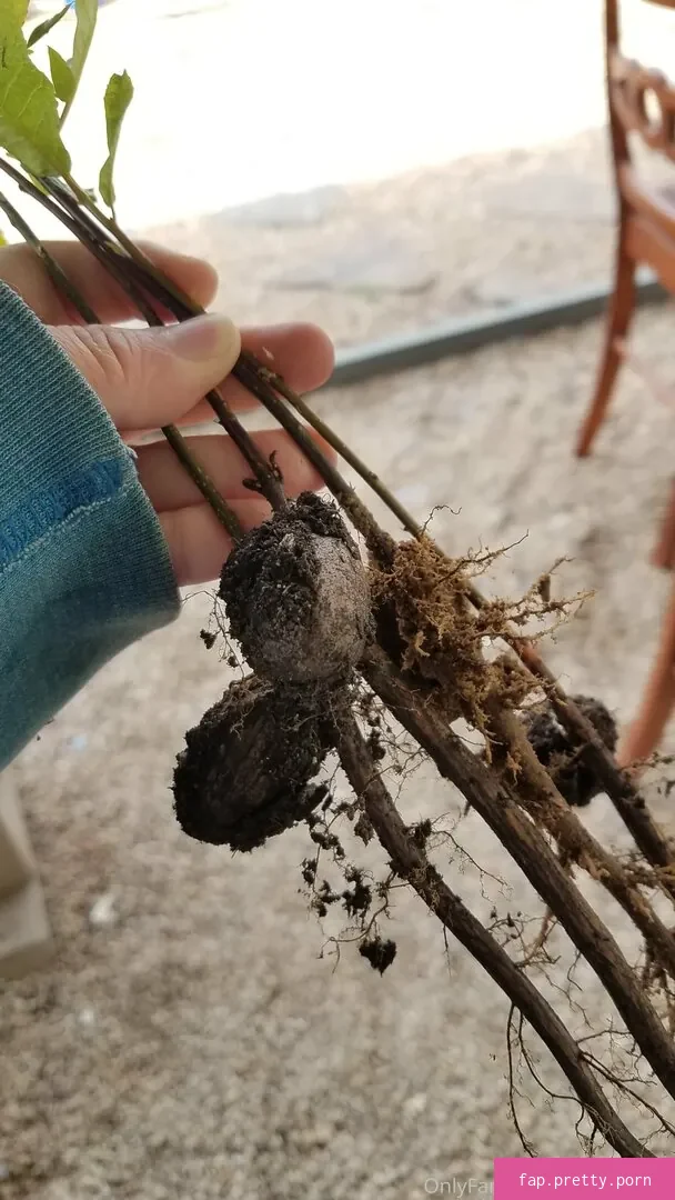 driftinggem - Photo #01