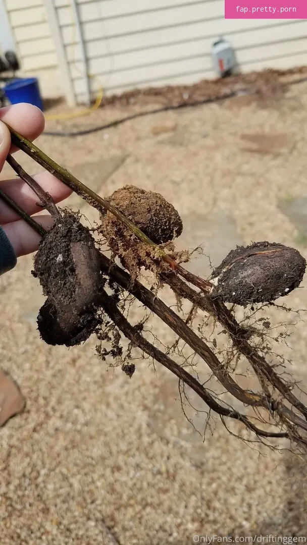 driftinggem - Photo #02