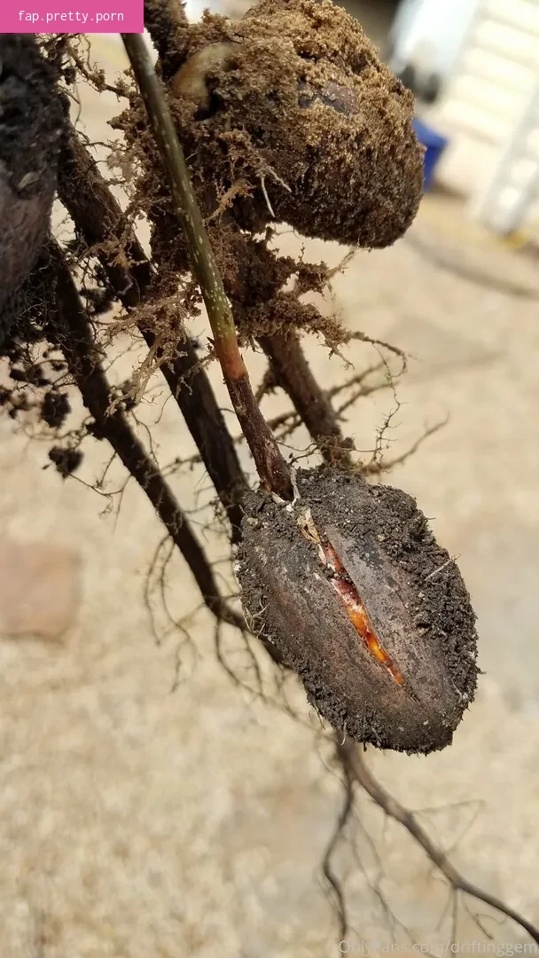 driftinggem - Photo #03