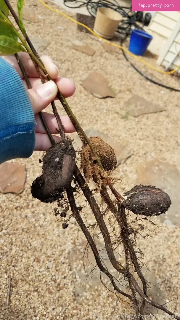 driftinggem - Photo #04