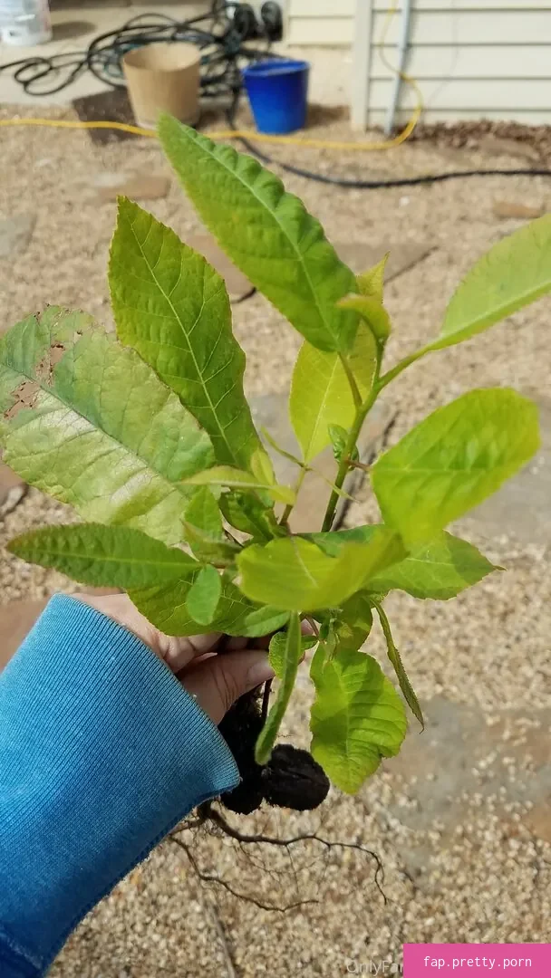 driftinggem - Photo #05