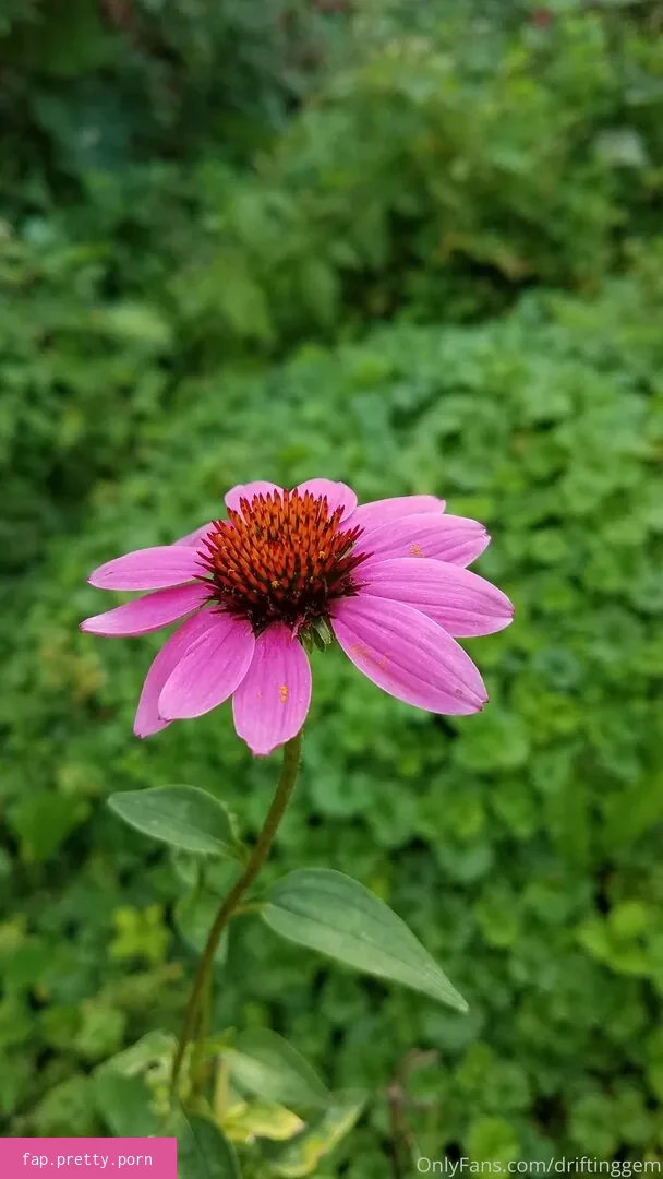 driftinggem - Photo #07