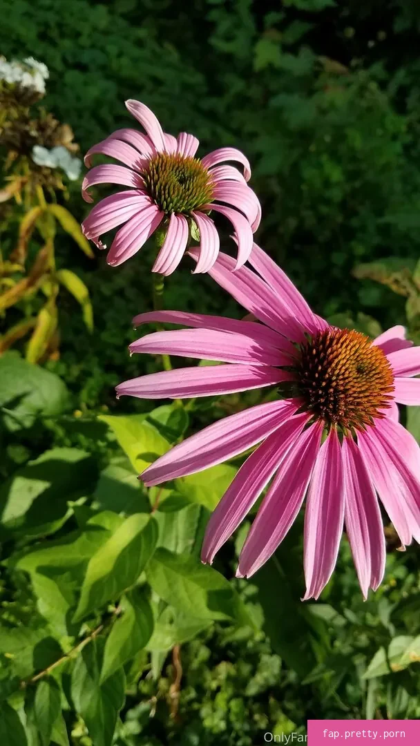 driftinggem - Photo #09