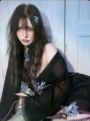 Electro Alice content