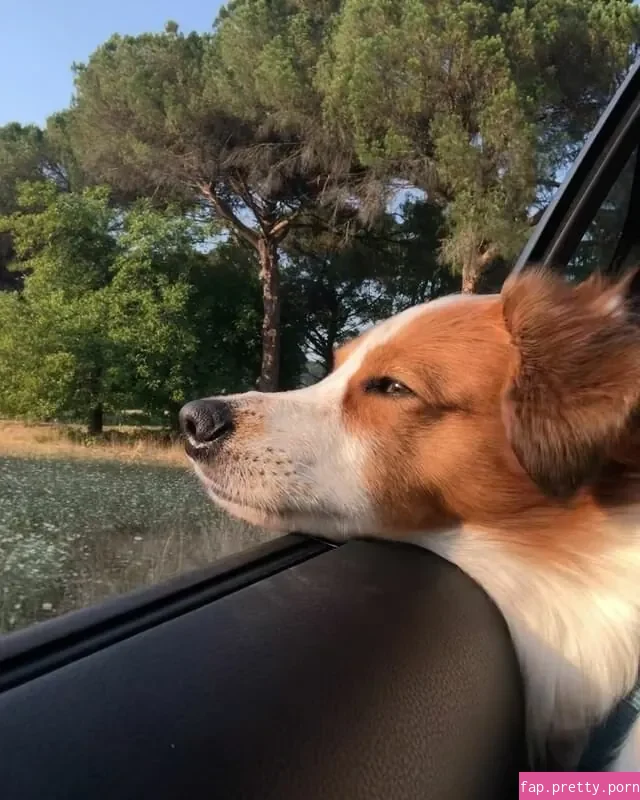 Elly Anne - Photo #51