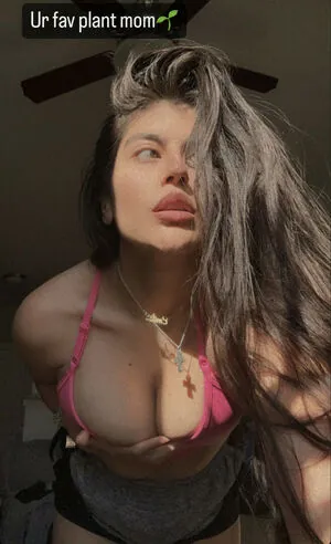 Emilia Torres content