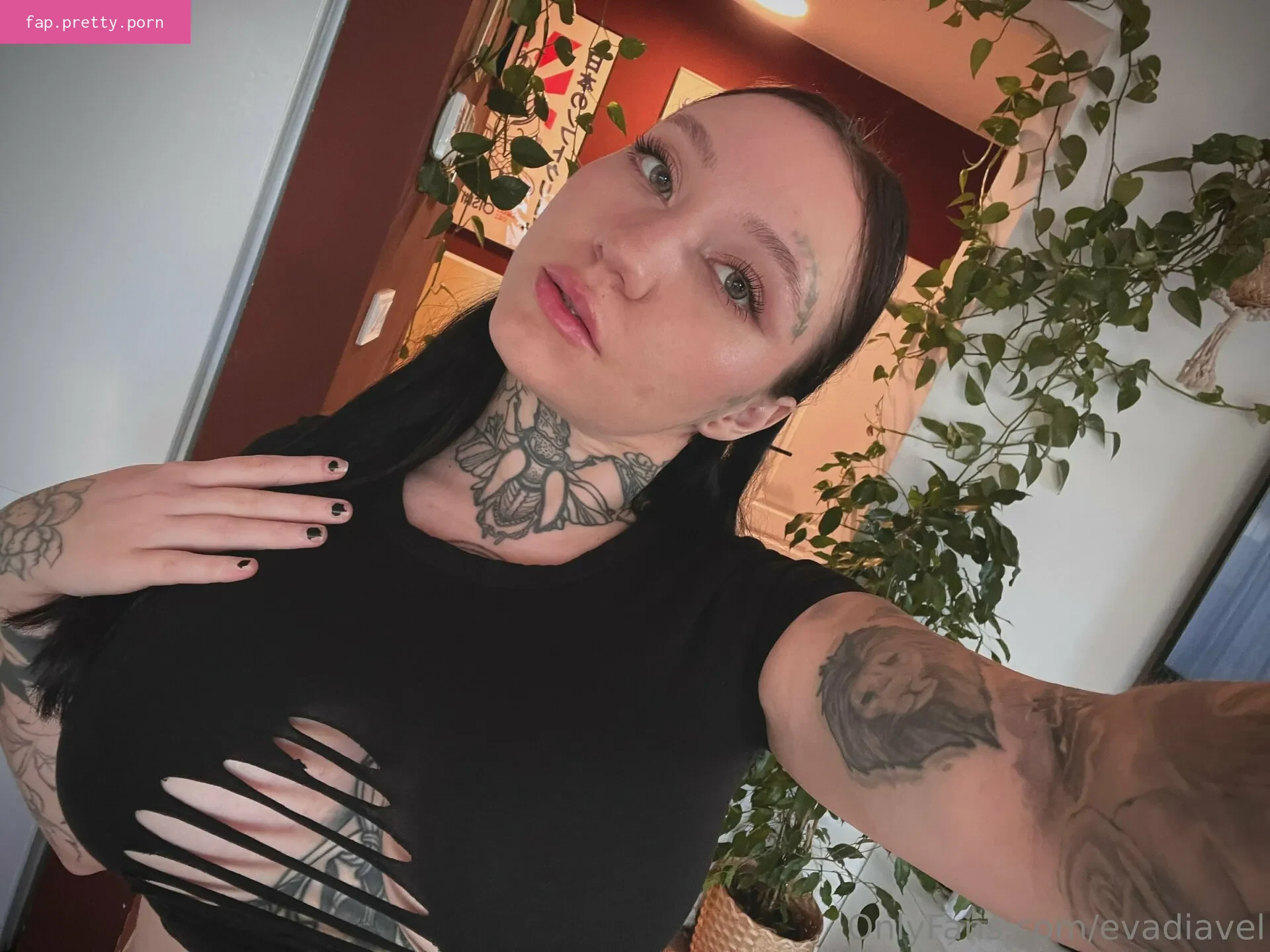 evadiavel - Photo #23