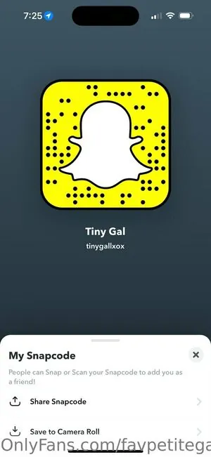 favpetitegal content