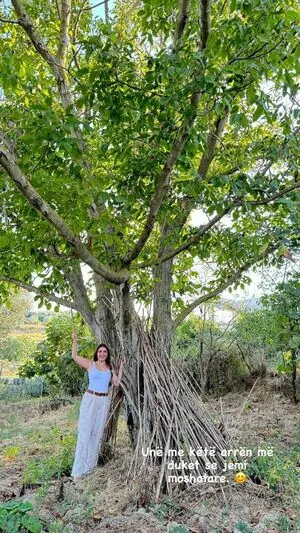 Fiori Dardha content