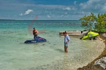 Fabiola Martinez content