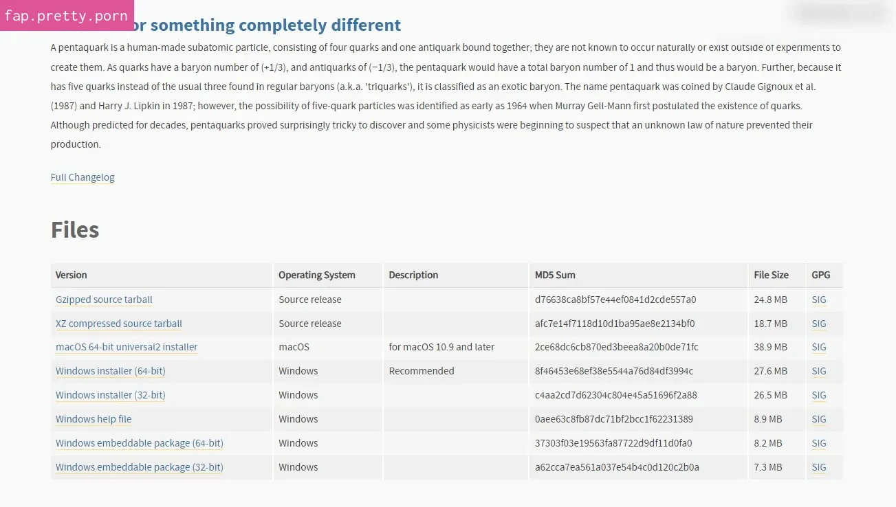 Fakes mit Stable Diffusion - Installation und erste Schritte - Photo #09