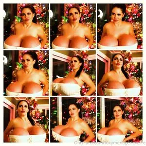 foxymenagerieverre content