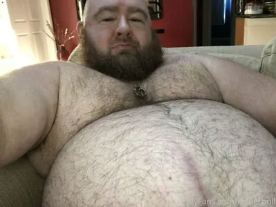 gainerbull #