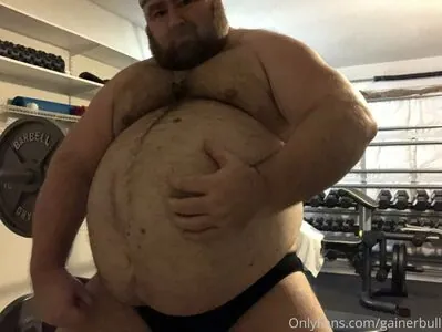 gainerbull #