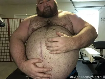 gainerbull #