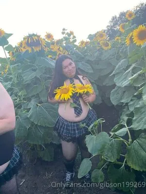 gibson199269 content