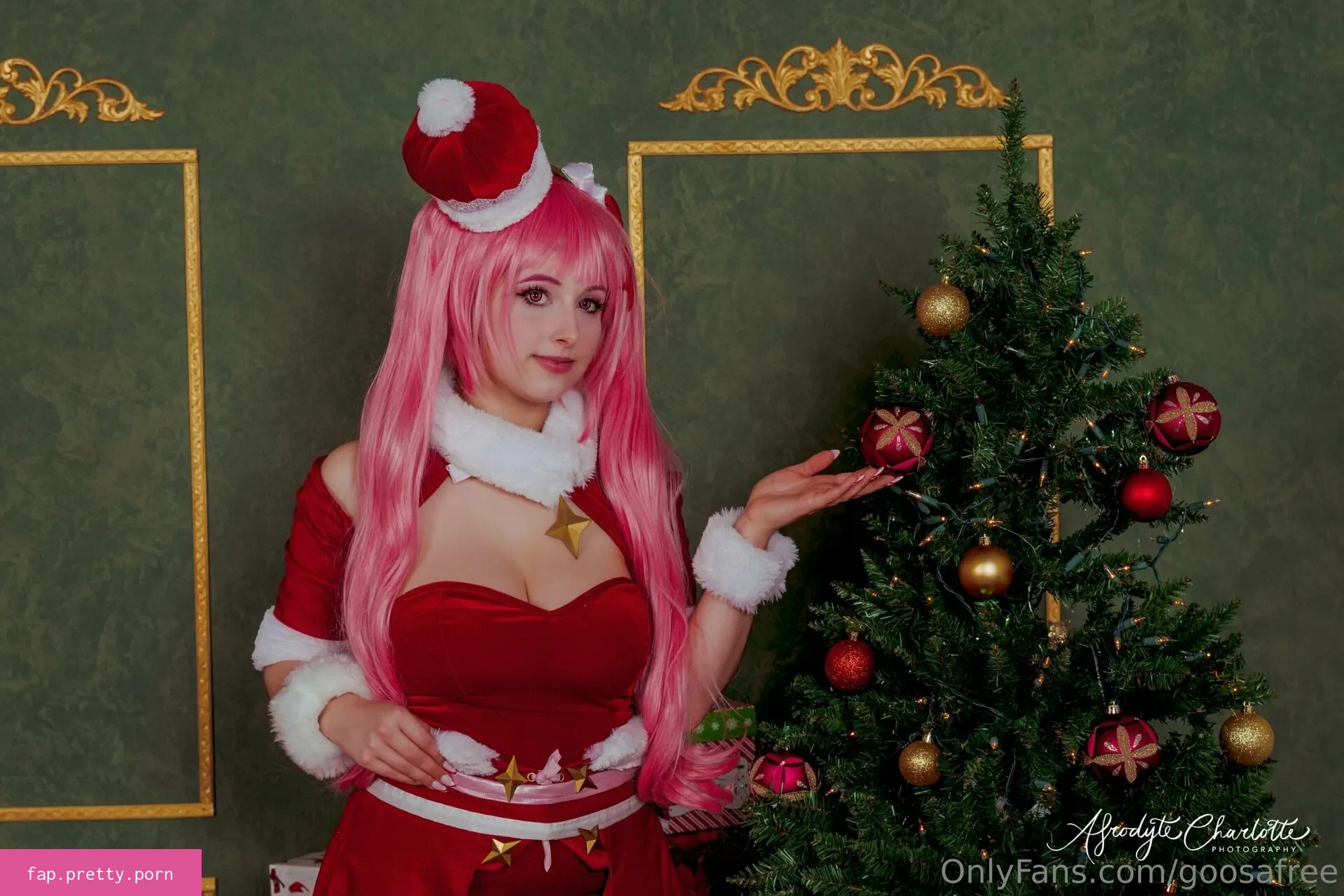 goosafree - Photo #48