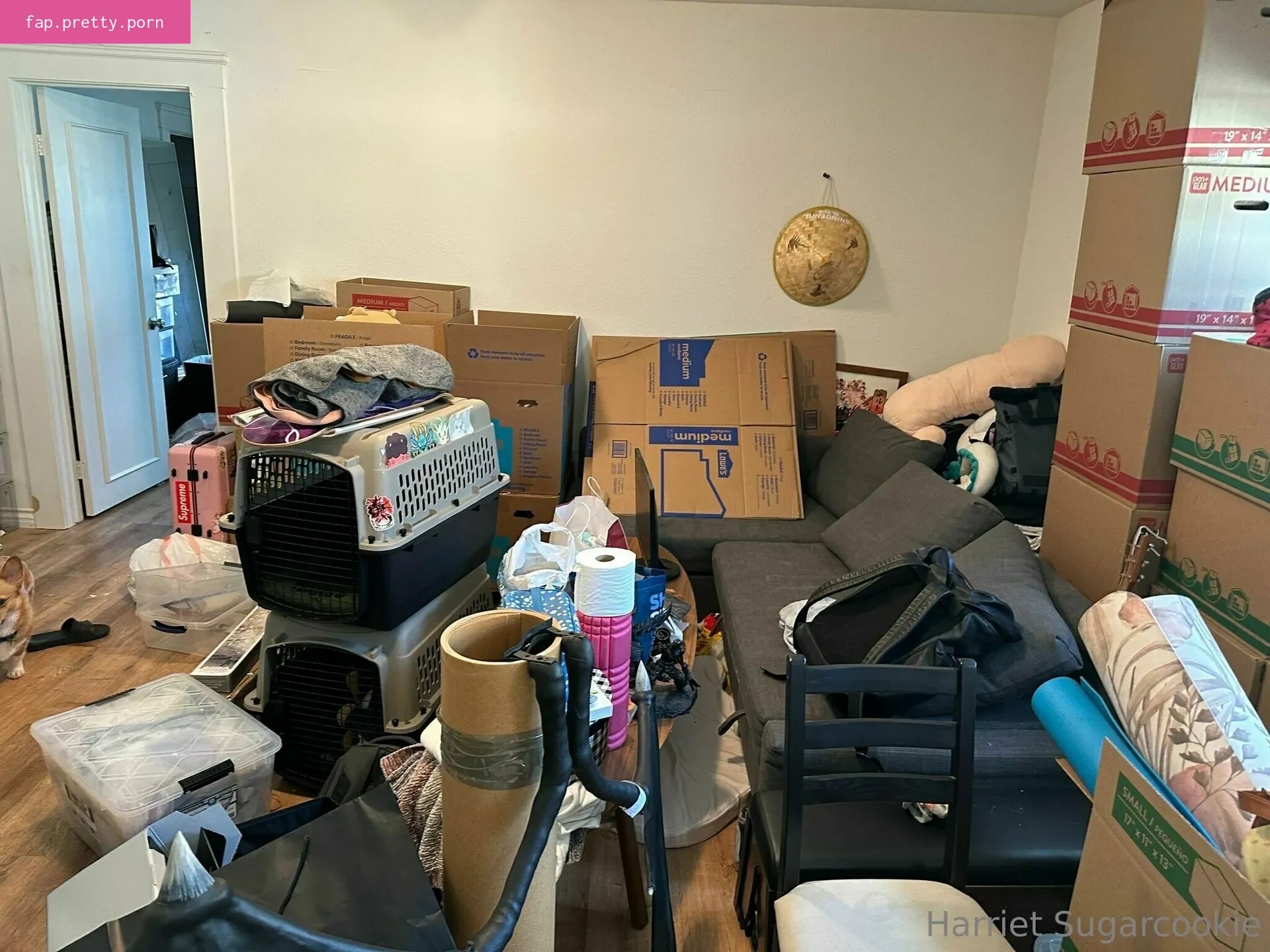 harrietsugarcookie - Photo #95