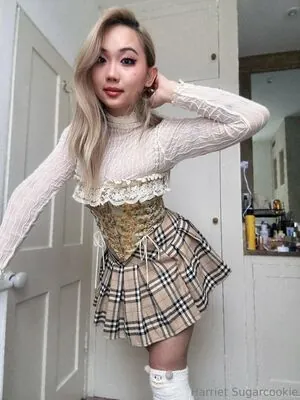 harrietsugarcookie content