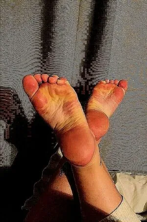 higharches_bella content