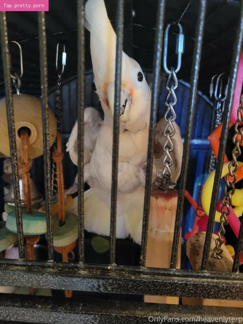 heavenlyterp - Photo #42