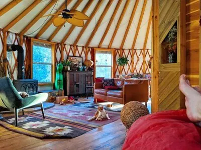 Hallee Hirsh content