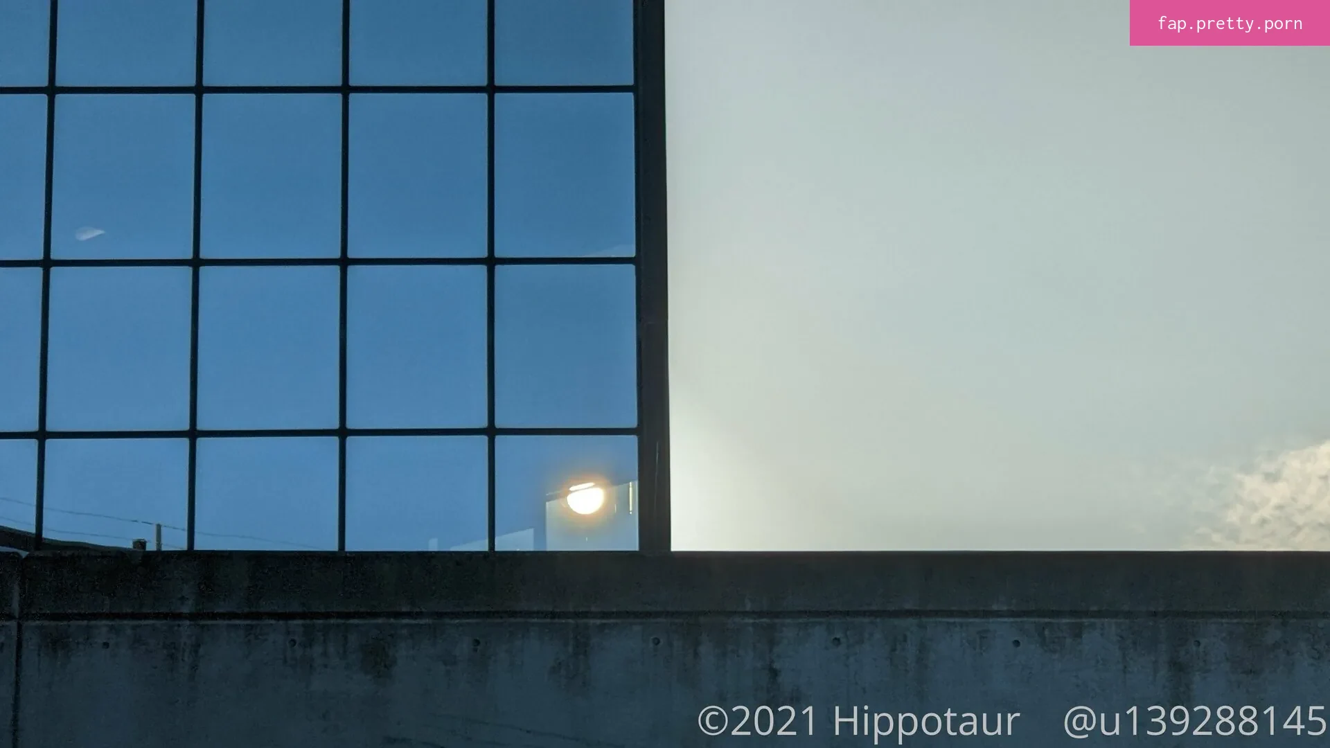 hippotaur - Photo #04