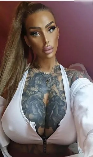 ink_lanovalie content